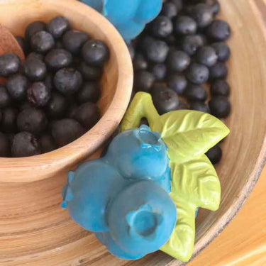 Jerry the Blueberry